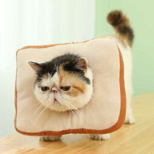 GUxXJ[ p Hp ubh g[Xg ^ _炩 ӂӂ ʂ  L  J[ p PApi ybgpi  K[h  ی rߖh~ 