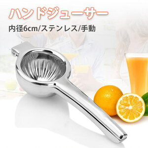 nhW[T[ i i t[c ʕ W[T[ 蓮 XeX a6cm i ڂ t[ci Vv  Lb` c[  G