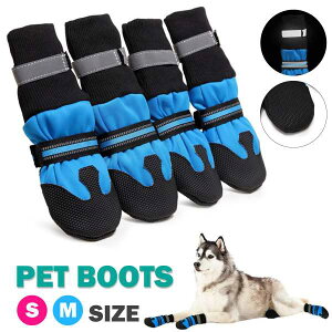 pC pi C V[Y JC ~ h ˃V[g U o Oo  PKh~ S Xgbvt u[ ubN S M L XL ^ ^ ^