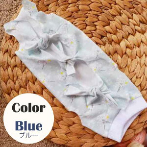 �L �p�㕞 �G���U�x�X�J���[ �L�p �� ���p �p�� �E�F�A �R�b�g�� �ȁ@�l�R �� �r�� �h�~ �p�㕞 �� �y�b�g �G���U�x�X �畆�ی� ��p�� �� �L�p ���p �y�b�g�p�㕞 �ی앞 �u���[ �s���N S M L�y