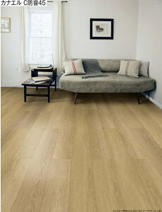 �yC45S1-W1�zNODA�h�����\��t���A�@�J�i�G��C�h��45�A�b�V���z���C�g���@�h������L45�@����ЁA�l���Ǝ�l�������E�q�ɔ[�i�B����[���́A�ʓr���ς��K�v�ł��B�k�C���A����y�ї����͕�