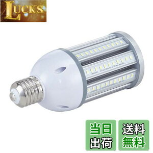 yzFwaytech LEDⓔ E26 E39Ή 36W 4200LMȏ F6000K LEDX LEDR[v 200W-250Wⓔ/⃉v IP65hho 1Zbg (F, 36W E26) [sAi]