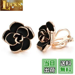 yzYoursfs KN CO  CONbv fB[X   o  Gi 18k sNS[h CO  sAX v[g