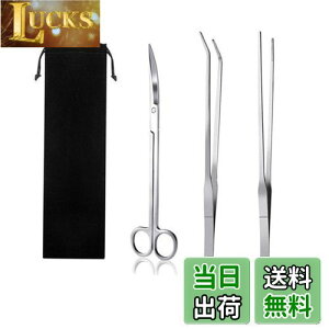 yzYINKE  sZbg & nT~ 3_Zbg XeX p ֗ @\ ٗp p[ܕt