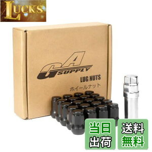 yzGAsupply zC[bNibg M12 x P1.25 e[p[60° Op X`[ 19HEX/21HEX\Pbgt h~ jbTEXoEXYL̕ʎԂƌyԂɑΉ 20Zbg