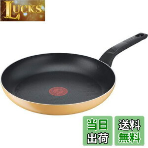 yzeBt@[ tCp 27cm KXΑΉ u}[S[hCG[ tCpv тɂ CG[ B56106