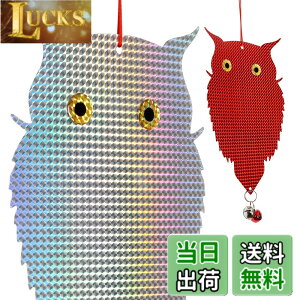 �y���������zOFFO ���悯 ���悯 �t�N���E�^���˔�2�� ���̓V�G�t�N���E�^�Ŕ��Ⓓ���������� �L���L������t�N���E�^�쒹���˔� �ڋʂ��傫�� �t���Q�h�~�E�i�ς𑹂Ȃ킸�n�g�Ȃǂ̊Q��