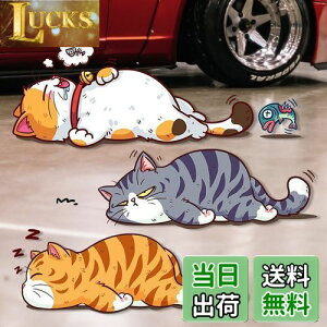 yzhappykau  XebJ[ 3C̔LZbg  Lprj[XebJ[ 킢lR̃CXg ԏB J[XebJ[ ybg̔L LYB ݉B XebJ[ hdl