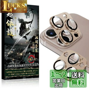 Esputunk iPhone16 Pro JtB JJo[ iPhone16 ProMax YیtByKXA~-2 Sʕی Nx ߗzKXA~̌^ YJo[ 