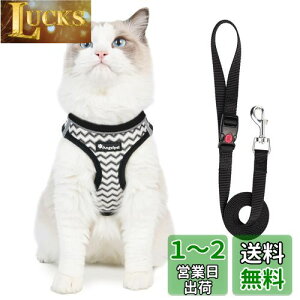 yzAngelpet Lp n[lX L n[lX Ȃ ˂  [ht ʋCbV _ubN 锽˃XgCvt lR n[lXƃ[hZbg Lp ^ y 