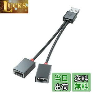 yzSound Wave 2In1 USBdP[u 2P[u ҃R[h dE[d̂  USBm-2f (USB2.0 X 210cm)