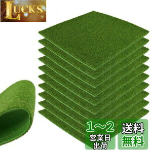 yzlH ͌^ 10Zbg ~j lHێŐ}bg3mm 20*20cm OX͌^ f  i  S͌^ WI} DIY (O[CG[)