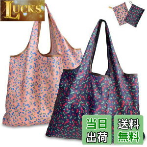 yz[GOKEI] GRobO y2 50×67cm eʁz ܂肽 obO RrjobO hf [ ≘ɂ y RpNgi`F[*2j