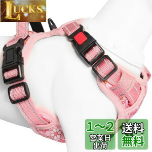 yz[2025ŐV^n[lX]BaoCheng p ^/^/^n[lX p h~ A^}ʂ P݌y TCY\ Ԕˍ Ȃ ʋC ȒP