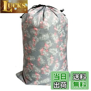 yzFutakuchi  В ^ 񂿂Ⴍ В TCY 񂿂Ⴍ  В|[` [ sp |[` Gꂽ  [|[` gx|[` s |[` ho C 