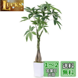 yzRuwenus tFCNO[ lHϗtA ϗt  G} C ypL K̖؁z98cm  ItBX A A