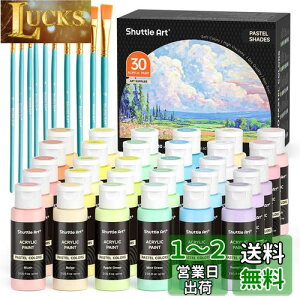 yzShuttle Art ANG̋ pXeJ[ 30F G̋Zbg 60ml yCguV10{t 킢 _炩F LoX///KX/Z~bNɕ` G ރZbg 