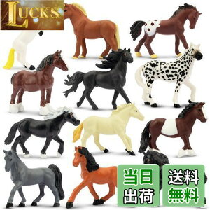 yzTOYMANY tBMA ~jntBMA ~jtBMAZbg AȓtBMA 12PCS nu nf z[X q_ ~jf lC  ߋ a