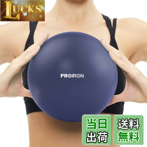 �y���������zPROIRON �s���e�B�X�{�[�� 25cm �����i�{�[�� �M���j�N�{�[�� �_�炩���{�[�� �G�N�T�T�C�Y�{�[�� �M���j�N�{�[���� ���� 3�F