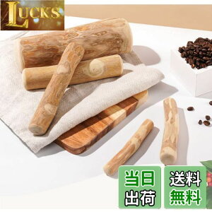 yzBelloPet 100%VRR[q[ K f^PA  ނ (M) ^ (1ea)