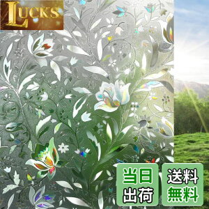 yzRabbitgoo  ߂V[g XehOX V[ ͂鑋KXtB O猩ȂptB ڒܕsv ߂ UVJbgO΍ ȑ Ռf