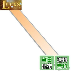 yzlZT[Cg  LED o[ Cg [d LrlbgCg 2200mAh 40cm dF ^݌v 茳 }Olbg LEDCg  zHsv ȃGl  x P