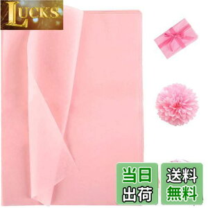 yzNALER t sNsN bsOy[p[bsO Mtg v[g DIY  蕨 |p Ntg Y i 38x50 60