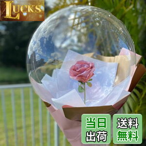 yLEISURE CLUBz10 L o[ NA{{{o[ ANAo[ NAo[ o[t[ u[P ԑ PVCo[ D ȕD ebNXD Zbg 炫