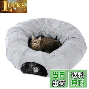 yzPAWZ Road Lgl Lbggl ~ h[ic^  lC ^Cgl O xbh L̑   a25CM ܂肽 XgXU ^s - O[ h[