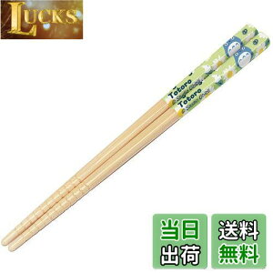 yzXP[^[(Skater)  | 16.5cm gg fCW[ Wu { ANT2