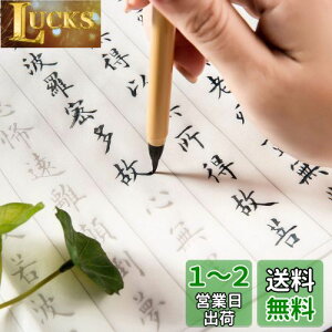 yzʎSo ʌopZbg(20ʌo{My) 蕶Xy[Xt Ȃ菑 {t 傫TCY67cm×35cm s[?5cm
