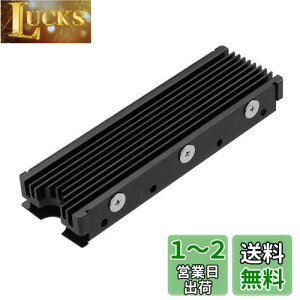 yzM.2 2280mm SSDʃq[gVNAPC / PS5pT[}VRpbhtM.2 PCIE NVMe SSD ()