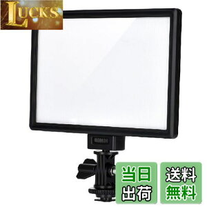 yzVILTROX L116T LED rfICg ^LEDpl PxƐFx\ 3300K-5600K CRI95+ Be ჌tJΉ (obe[Ȃ/DCA_v^[Ȃ)