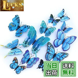 yzULIN  3D  EH[XebJ[ ǎV[  ʃe[v V[ rO ① CeA ǃV[  킢 EH[y[p[ |X^[ u[