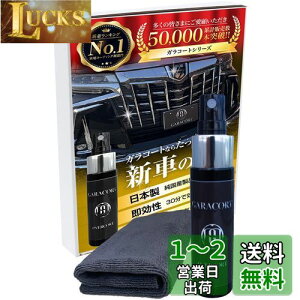 yzKR[g KXn R[eBO KXnR[eBO Zbg 30ml  ی SԎSFΉ  oCN  bNX ȒP eiX