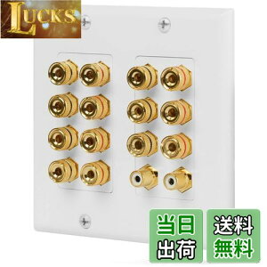 【送料無料】Fosmon ホームシアタースピーカー壁プレートコンセント オーディオ分配コンセントパネル銅 バナナプラグバインディングポスト スピーカーサウンドオーディオコネクタ挿入ジャ