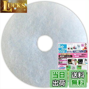 yzr[Vbv CtB^[ (a90mma30mm) 10 EVa SRP-100F EL[iX^ C ݊tB^[ (CD90-30)