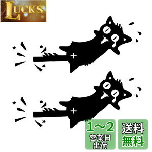 yz1797 XebJ[ ˂ L ɂ hXebJ[ fJ[ V[ ԗp 킢   ʔ K܂ꂽL J[XebJ[ hA  ǃV[ xbh[ 