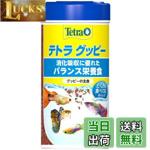 yzeg (Tetra) Obs[  75g