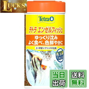 yzeg (Tetra) G[tBbV 100g Mы̎H LCۂ H׎ct Mы GT t[N