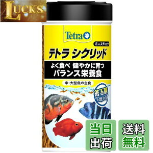 yzeg (Tetra) VNbh~jXeBbN 75g VNbh̎H 悭HׂoXh{H HCp GT
