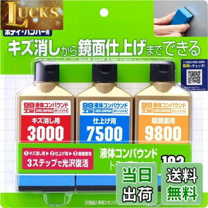 yz\tg99(SOFT99) 99H[ Cpi t̃RpEhgCAZbg hʂ̃LYAdグAʎdグp pX|W 09193