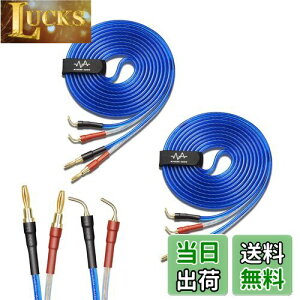 yzyoinz 2{1g LRZbg yoiivOHρz by yWYVERN AUDIOz 24kbL vO Xs[J[ P[u in_ς By WYVERN AUDIO (oiivO̐jvO / 