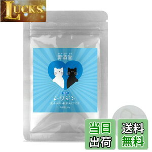 yzi(ǂ)x L-WLp(20g) ^₷ɍו^Cv vʃXv[t