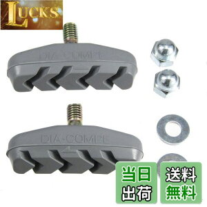 yzuaXg(BRIDGESTONE) VKCu[Lpu[LV[ 4892145