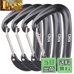 yzAzarxis bNJri ω׏d 12KN(1200kg) oRt A~ Jri DO bLO L[O Eh~ y @\ nbN Lv AEghA