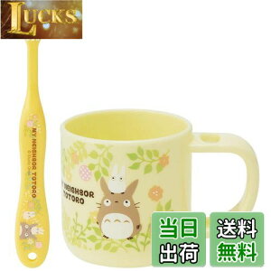 yzXP[^[(Skater) X^ht Rbv uVZbg uV Rbv ƂȂ̃gg X^WIWu KTB5