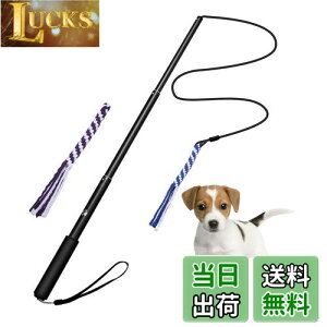 yzpފƂ [v   hM[} Pp p ފƌ^ OߐLkł 2pt 3`5Jɔzς