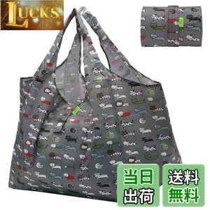 yz[GOKEI] GRobO obO ܂肽 e hf y RrjobO RpNg [ ≘ɂ 