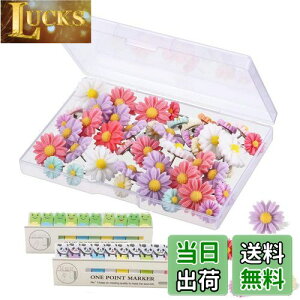 yzRuiChy vbVs^bN Xg[W {bNX t  t t[T^bN T ^bN Jt }[LOs zCg {[h RN {[h ʐ^  n} f